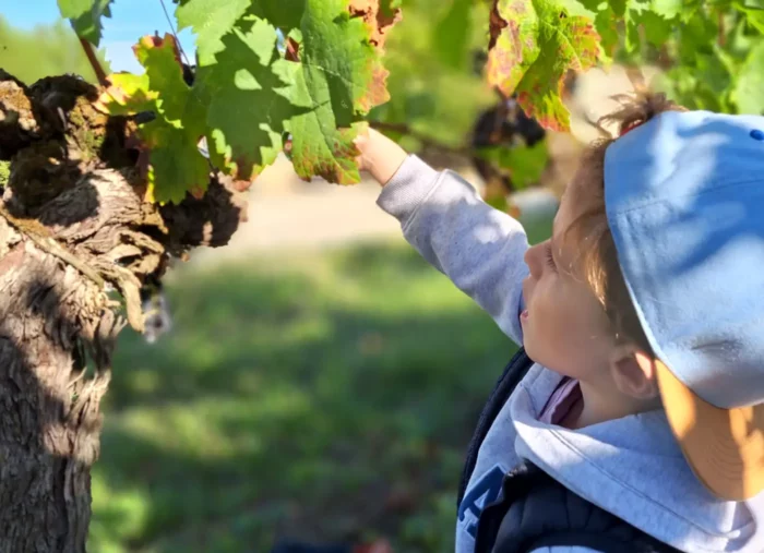 Vente de vin annuelle